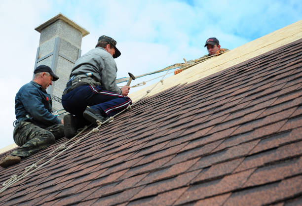 Gutter Installation and Roofing in Farmington, AR
